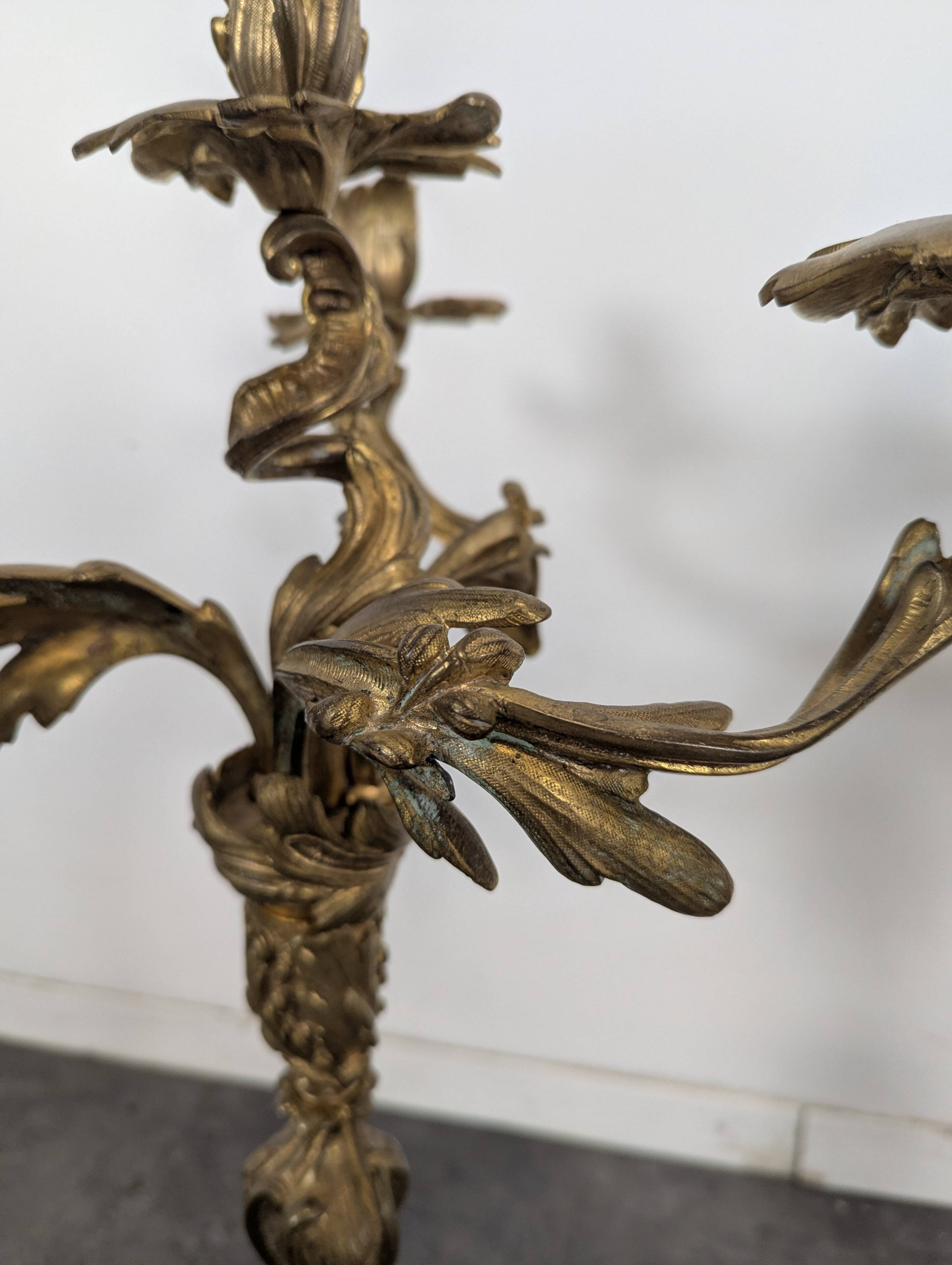 Pair of Candle Holders or Candelabra in Gilded Bronze