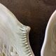 Fish plates signed Guillot - Vallauris