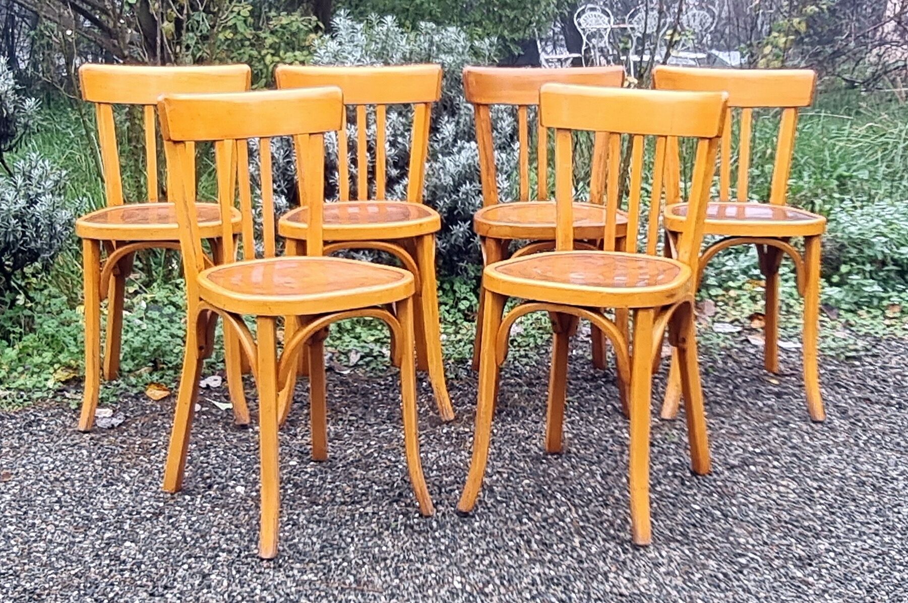 6 Baumann chairs n°43 50s