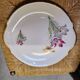 CCP luxury porcelain 12 dessert plates