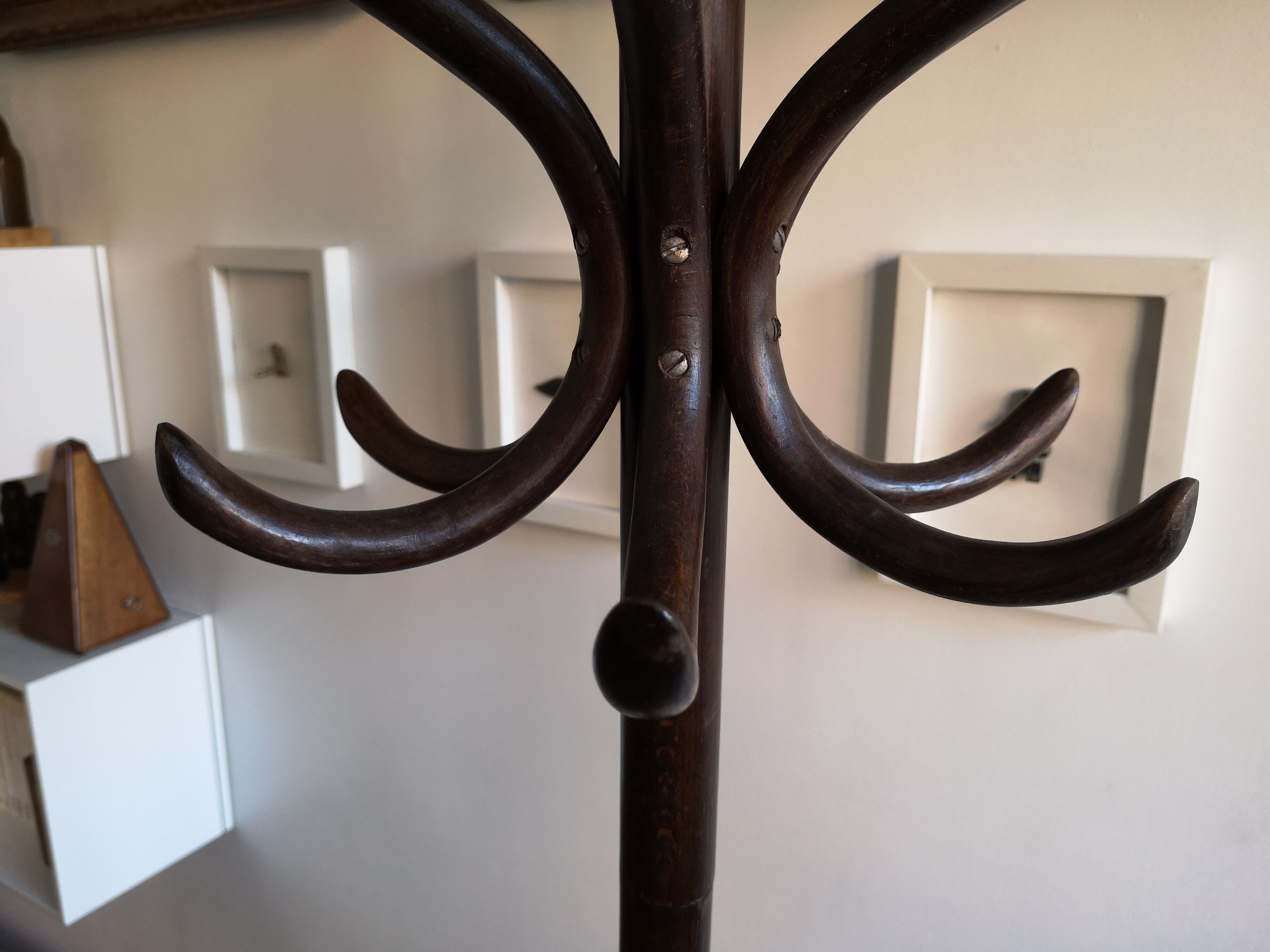 Dark wooden parrot coat holder