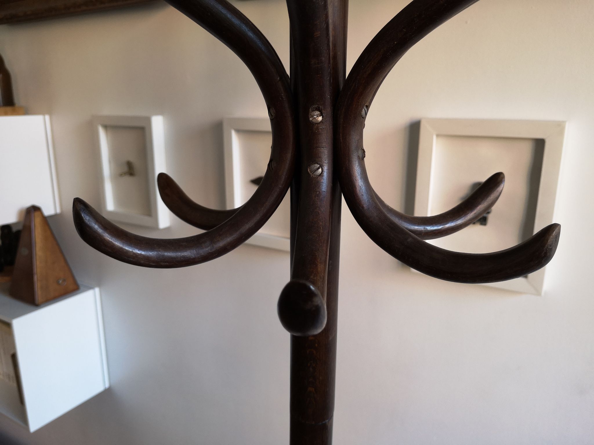 Dark wooden parrot coat holder
