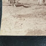 Pascal Sébah (1823-1886) - Photograph, albumen print - The ploughmen, Egypt