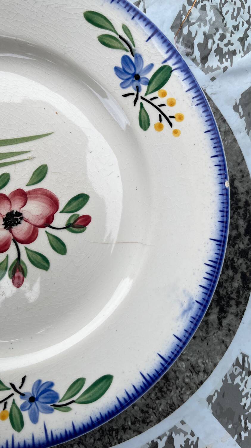 Set of 6 old Digoin flat plates