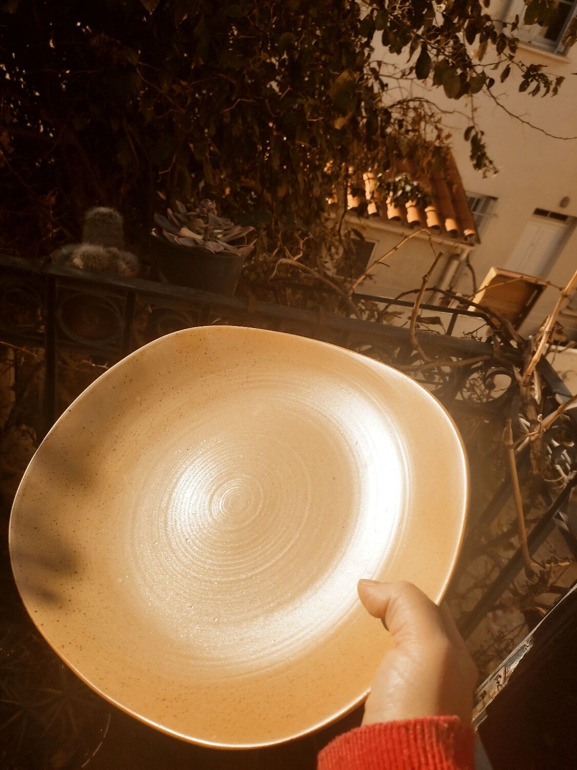 12 free-form speckled satin stoneware plates