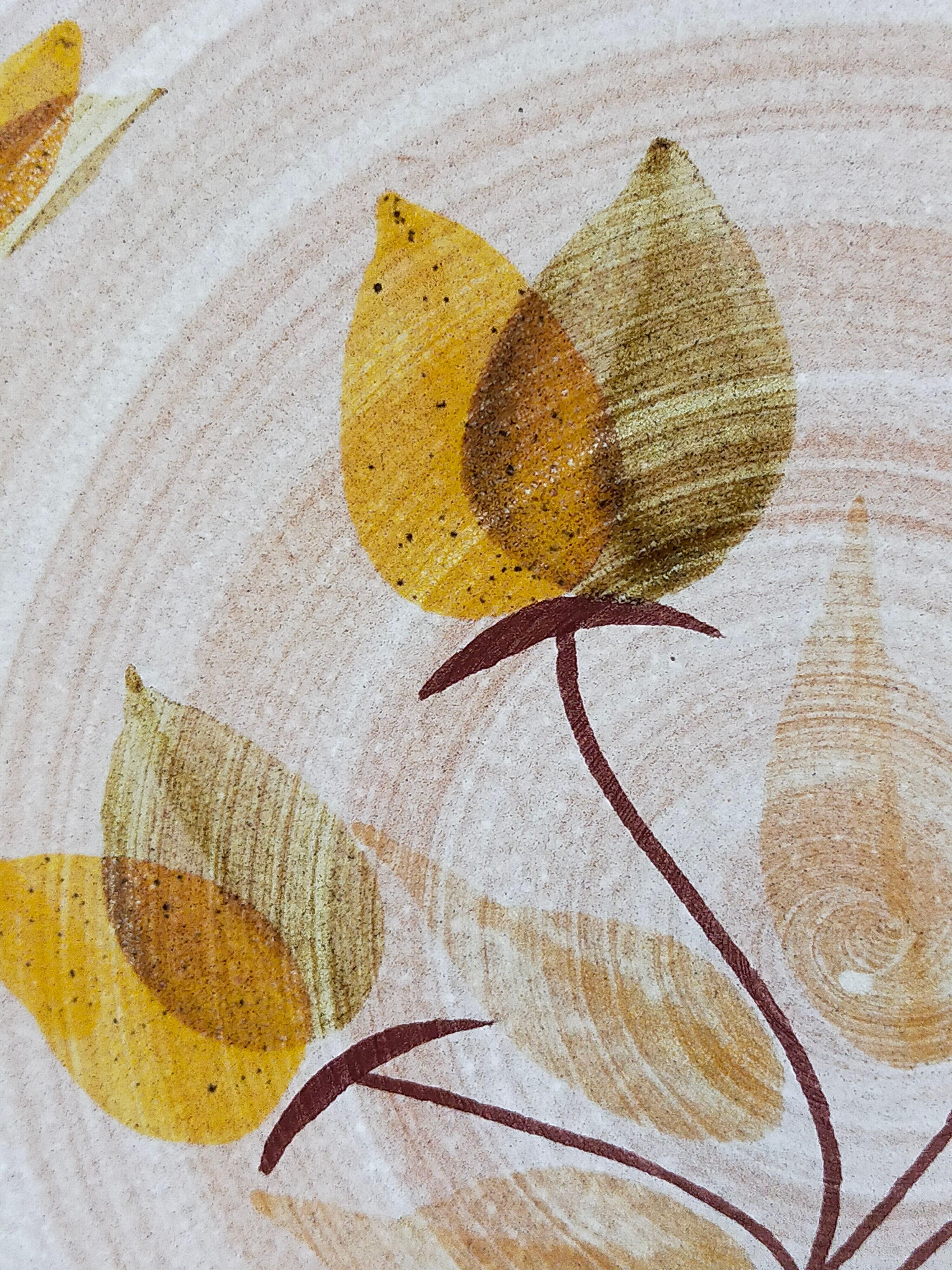 Six Niderviller stoneware plates with vintage plant décor