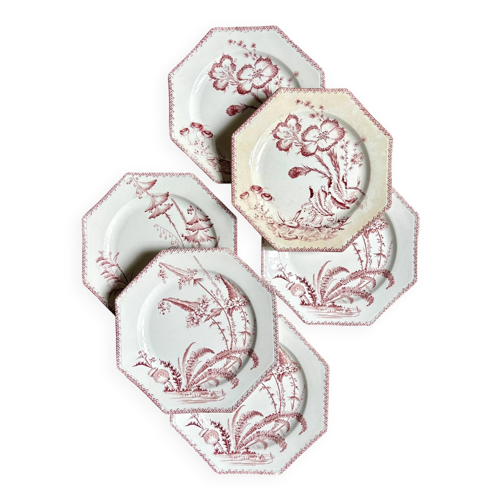 6 flat plates in ironstone Clairefontaine, "Indiana" service.