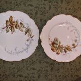 2 assiettes motifs automnale