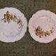 2 plates autumnal motifs