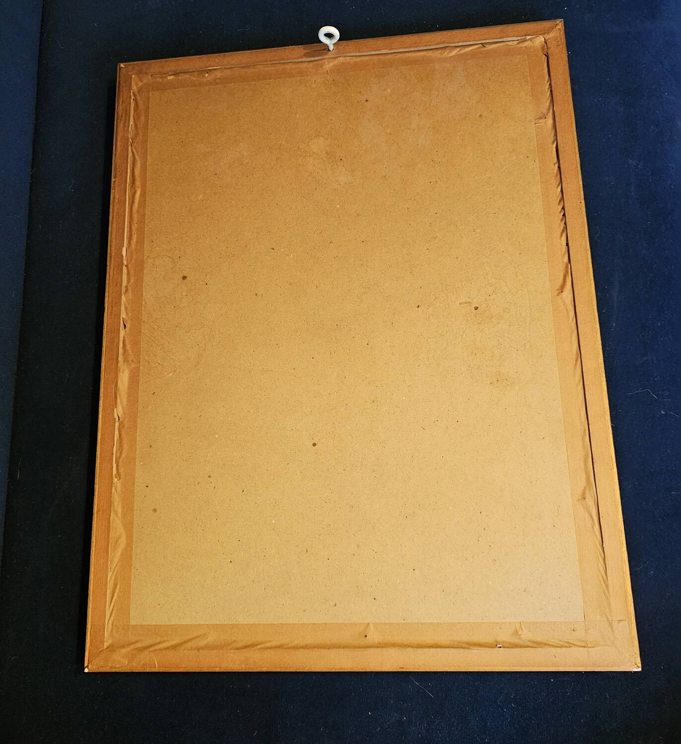Frame pj Redouté le Rosier Aurore Poniatowska