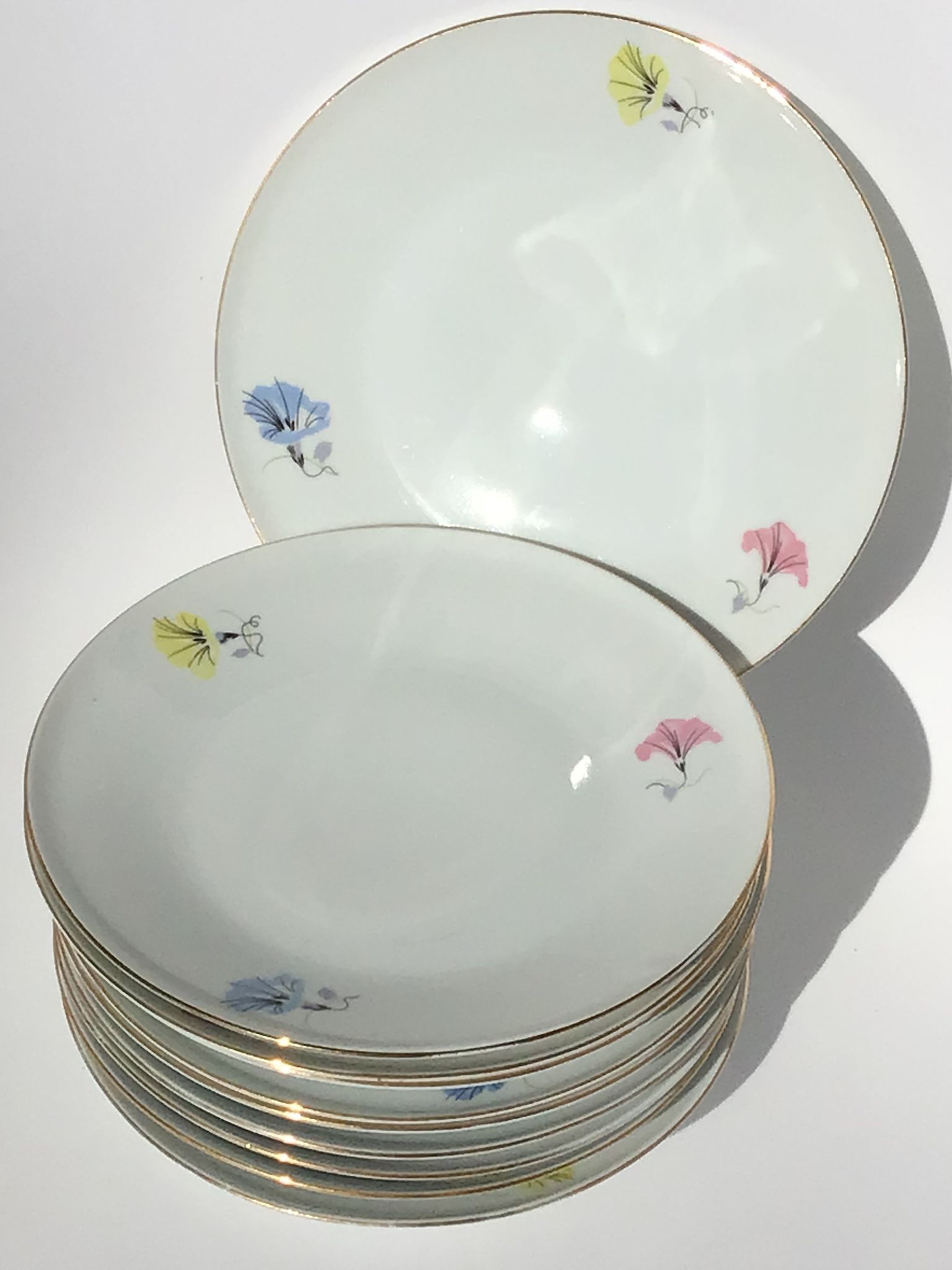 10 plates dessert porcelain decoration flowers 50's melitta