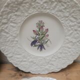 Set of 4 royal cauldom plates