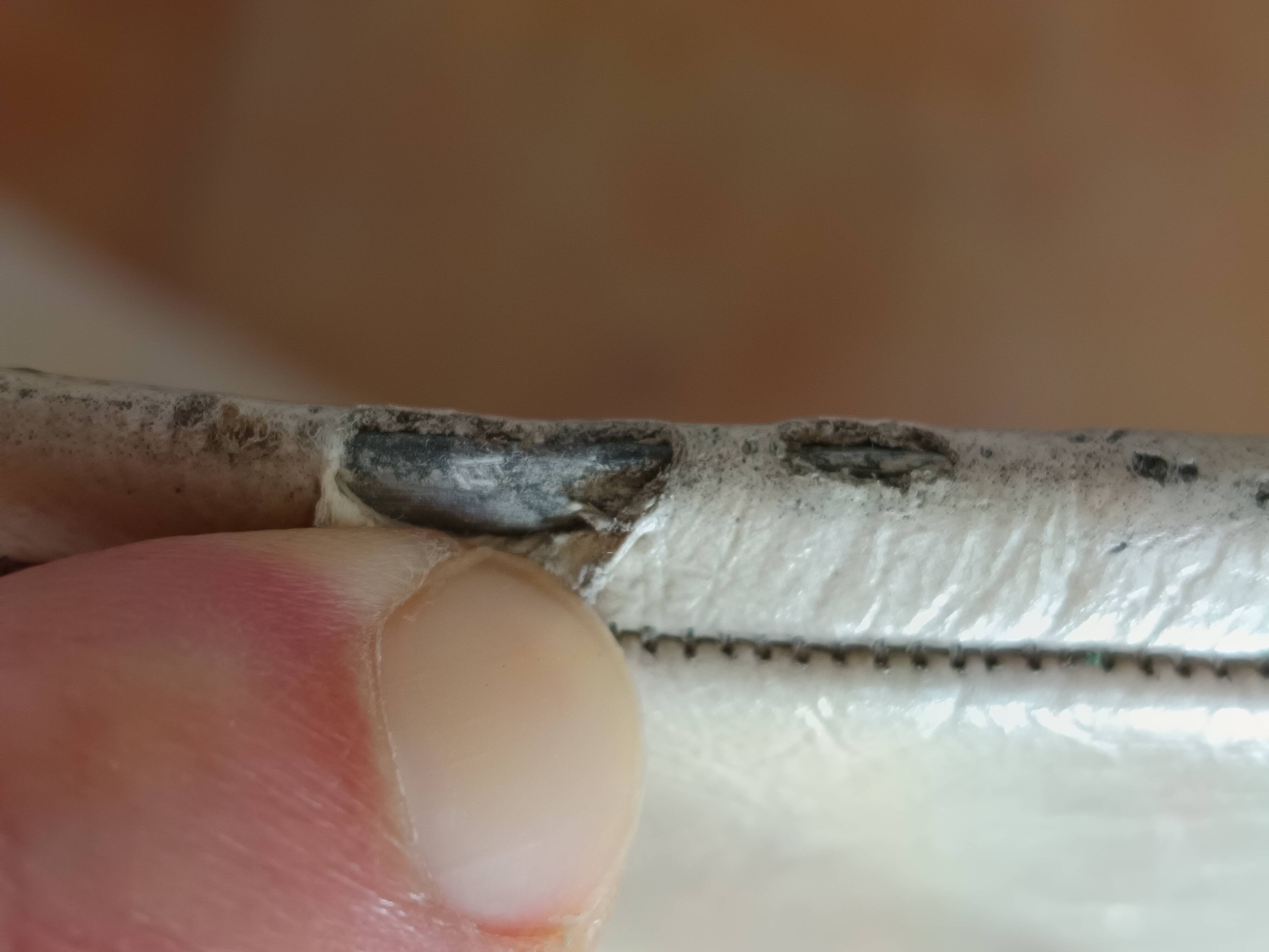 Rare Pair of "Tonneau" Chairs in Aluminium by Pierre Guariche (1954)