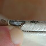 Rare Pair of "Tonneau" Chairs in Aluminium by Pierre Guariche (1954)