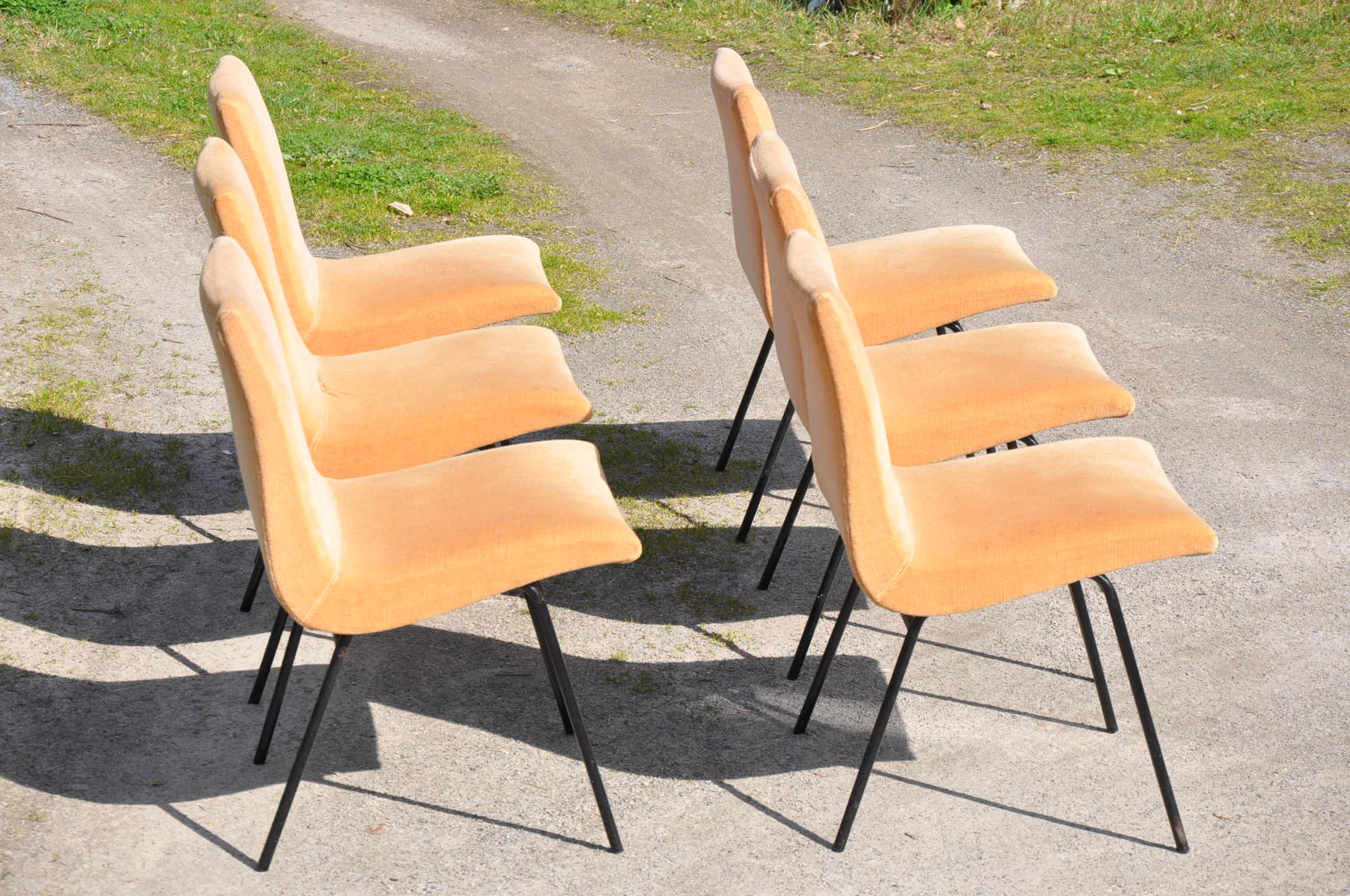 Pierre Paulin chairs