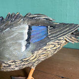 Polychrome terracotta duck