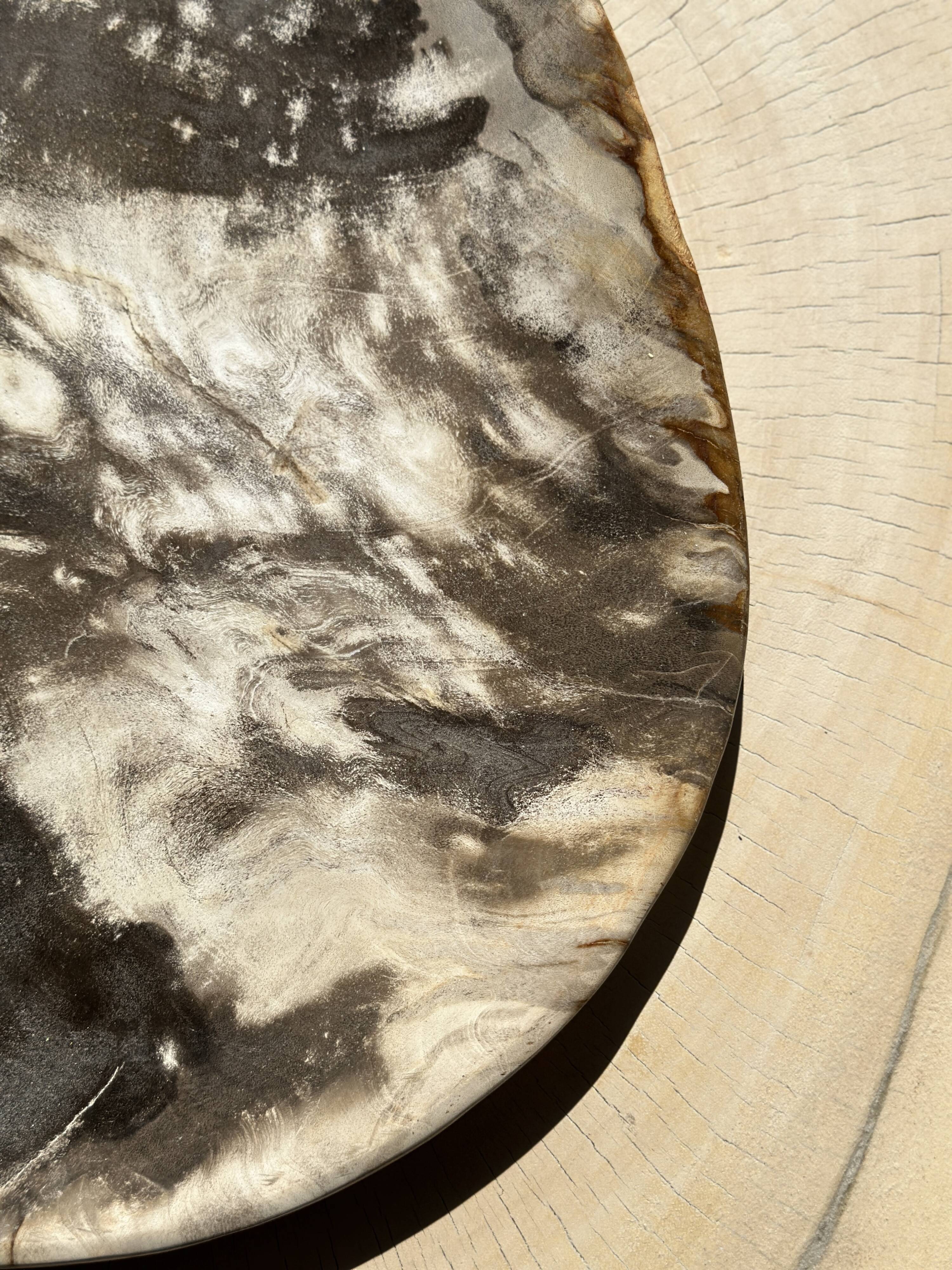 Very large pocket or dish in petrified wood