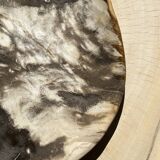 Very large pocket or dish in petrified wood