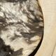 Very large pocket or dish in petrified wood