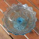 Blue molded glass display cup - Geoge Sand, 19th