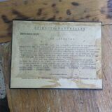 Vintage entomology board