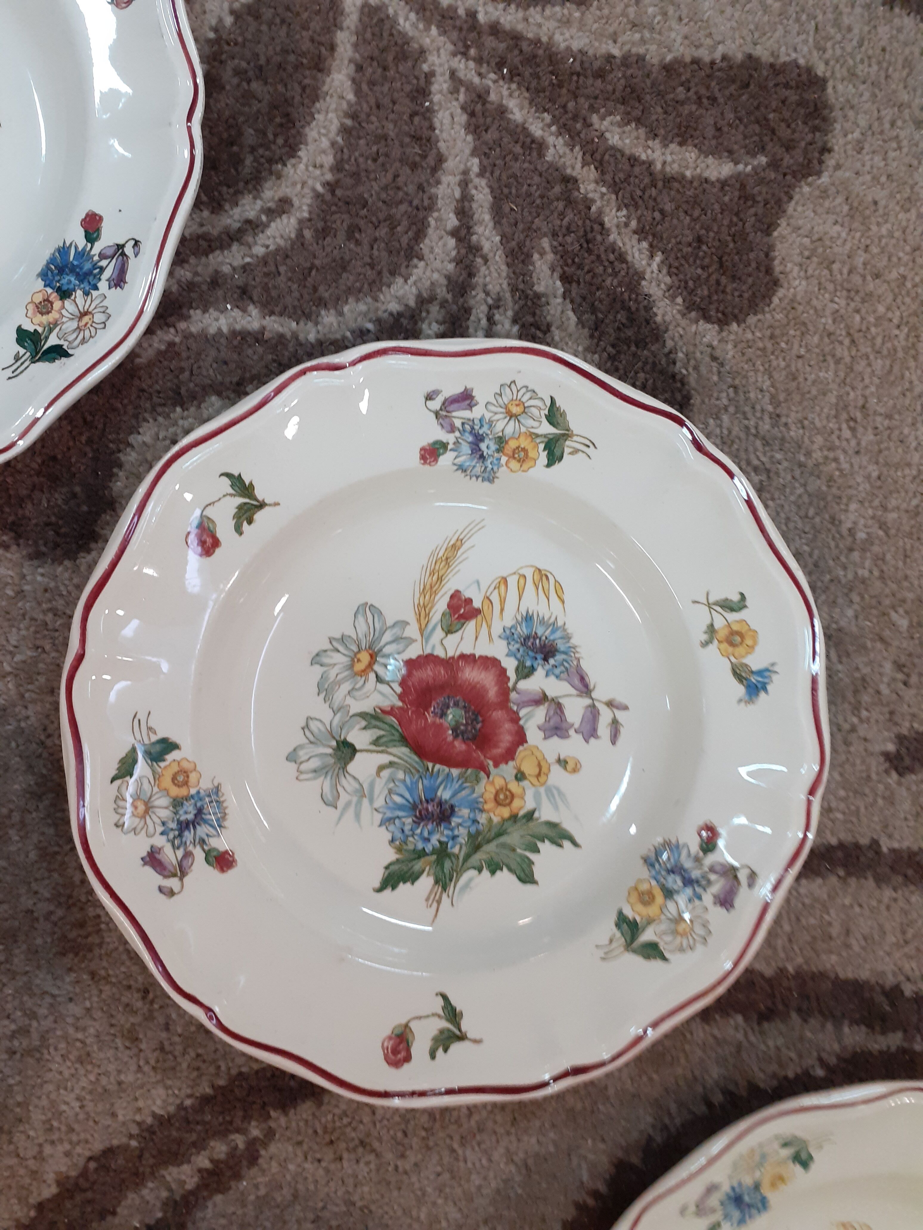 Lot de 6 assiettes creuses Sarreguemines modèle Agreste