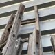 Lot 4 large painter's ladders carrying wood 1950
