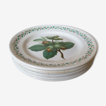 Set of 7 hand painted Choisy-le-roi antique side plates French botanical theme fruits & nuts, mid 19