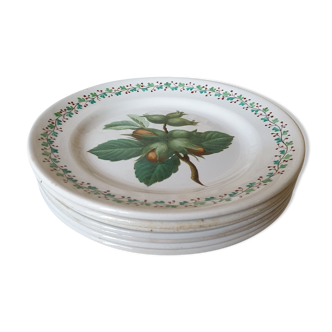 Set of 7 hand painted Choisy-le-roi antique side plates French botanical theme fruits & nuts, mid 19