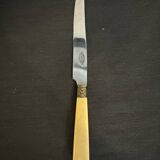 Service box of 11 knives with ivory handles and cast steel