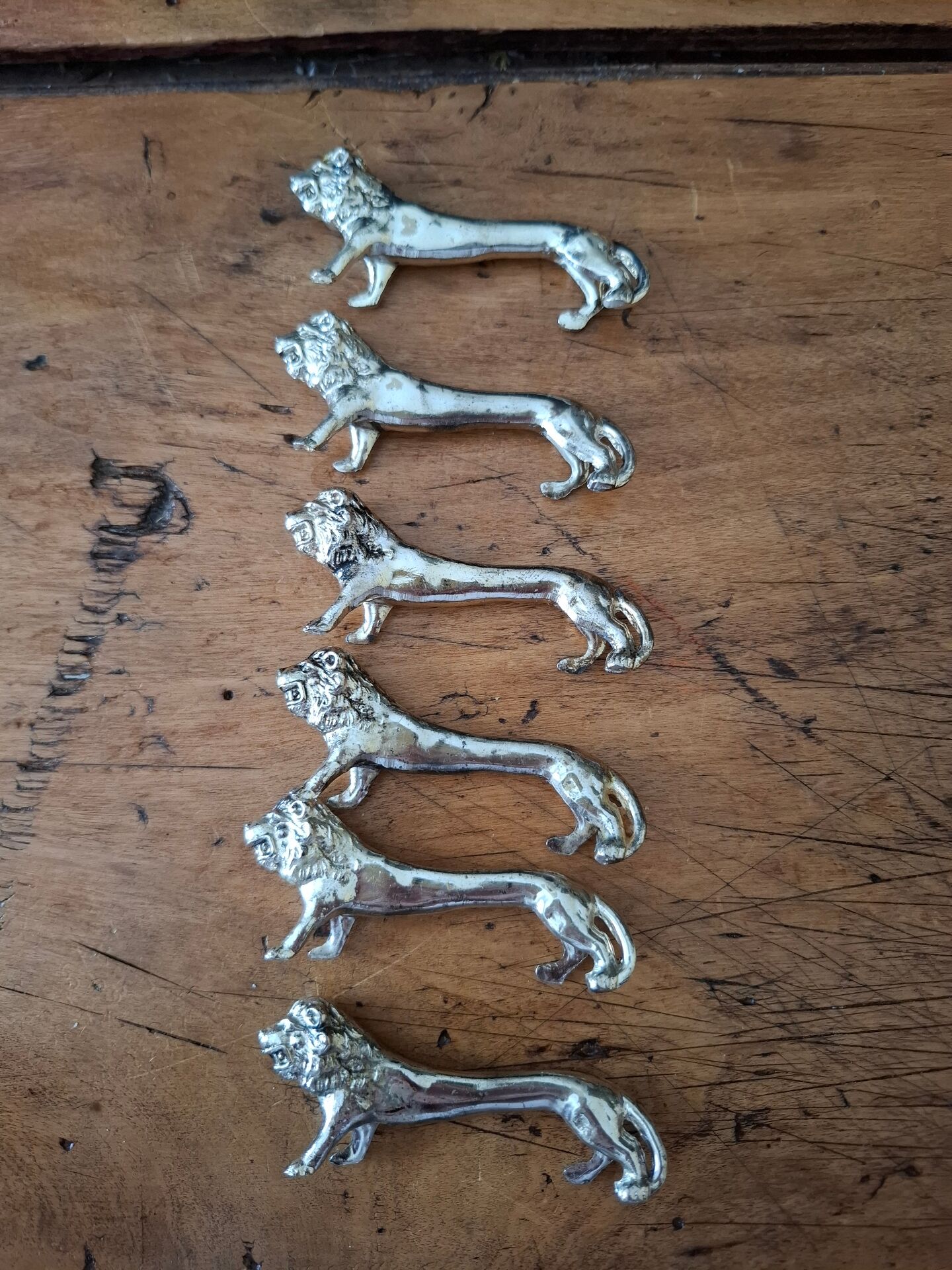 Expensive doors lions