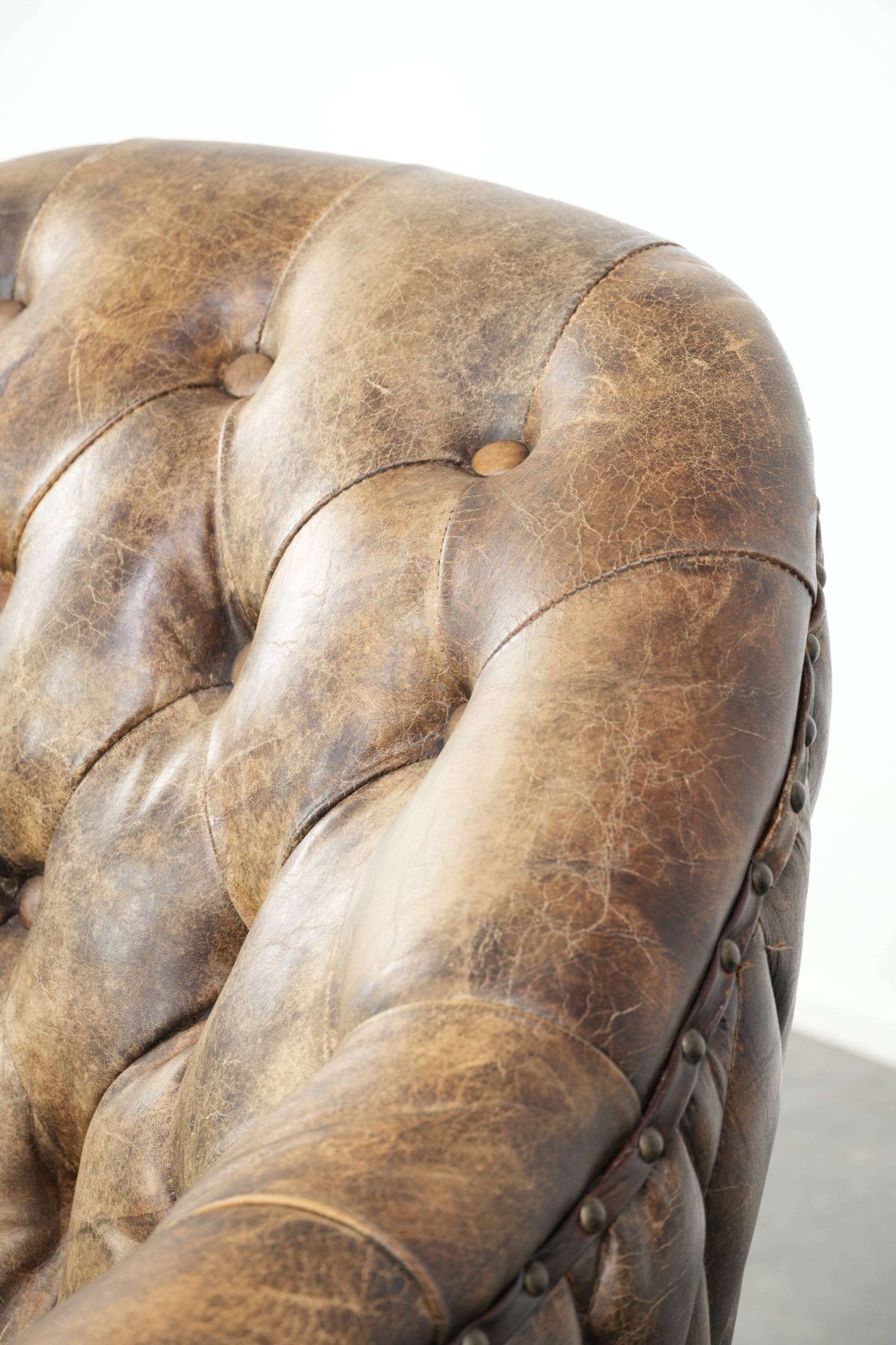 Unique cowhide Chesterfield club armchair with beautiful colour combination