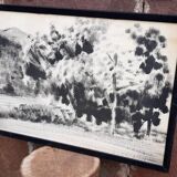 Charcoal on paper by Granados Llimona