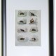 Original zoological plate "field mouse, perch rat, scherman,... - Buffon 1838