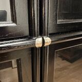 Black Globe Wernicke Bookcase