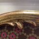 Miroir en résine doré style Louis XV h47 X l28
