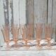 Flûtes à champagne Rosaline lot de 12