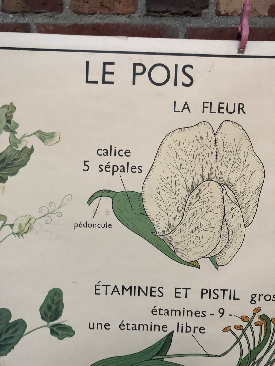 Old double-sided Rossignol school poster