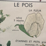 Old double-sided Rossignol school poster