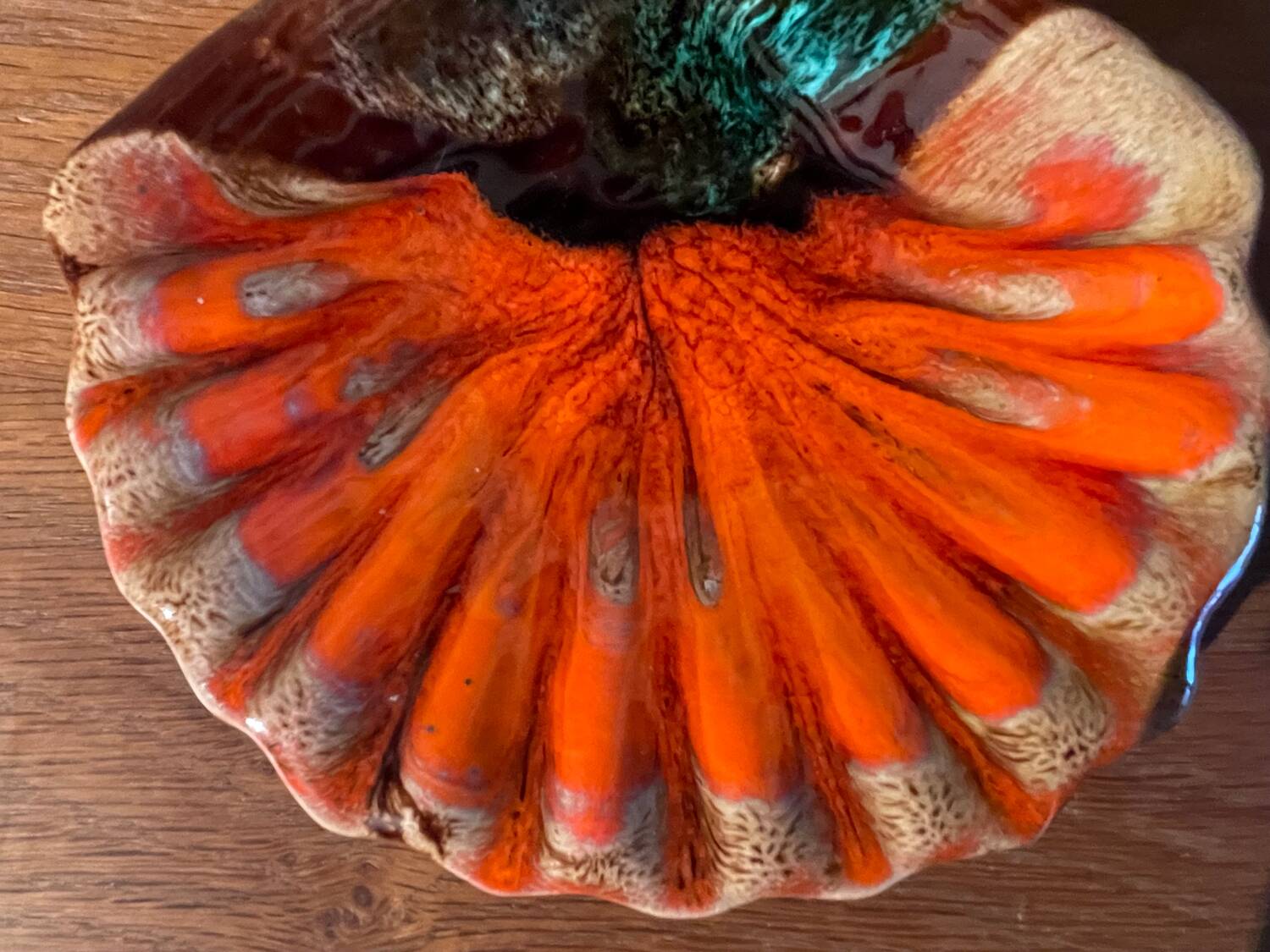 Vallauris shell tidy