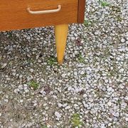 Vintage chest of drawers from the 50s in blond oak 4 drawers conical legs