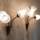 Articulated double light wall sconces in brass and glass - mid 20th century.