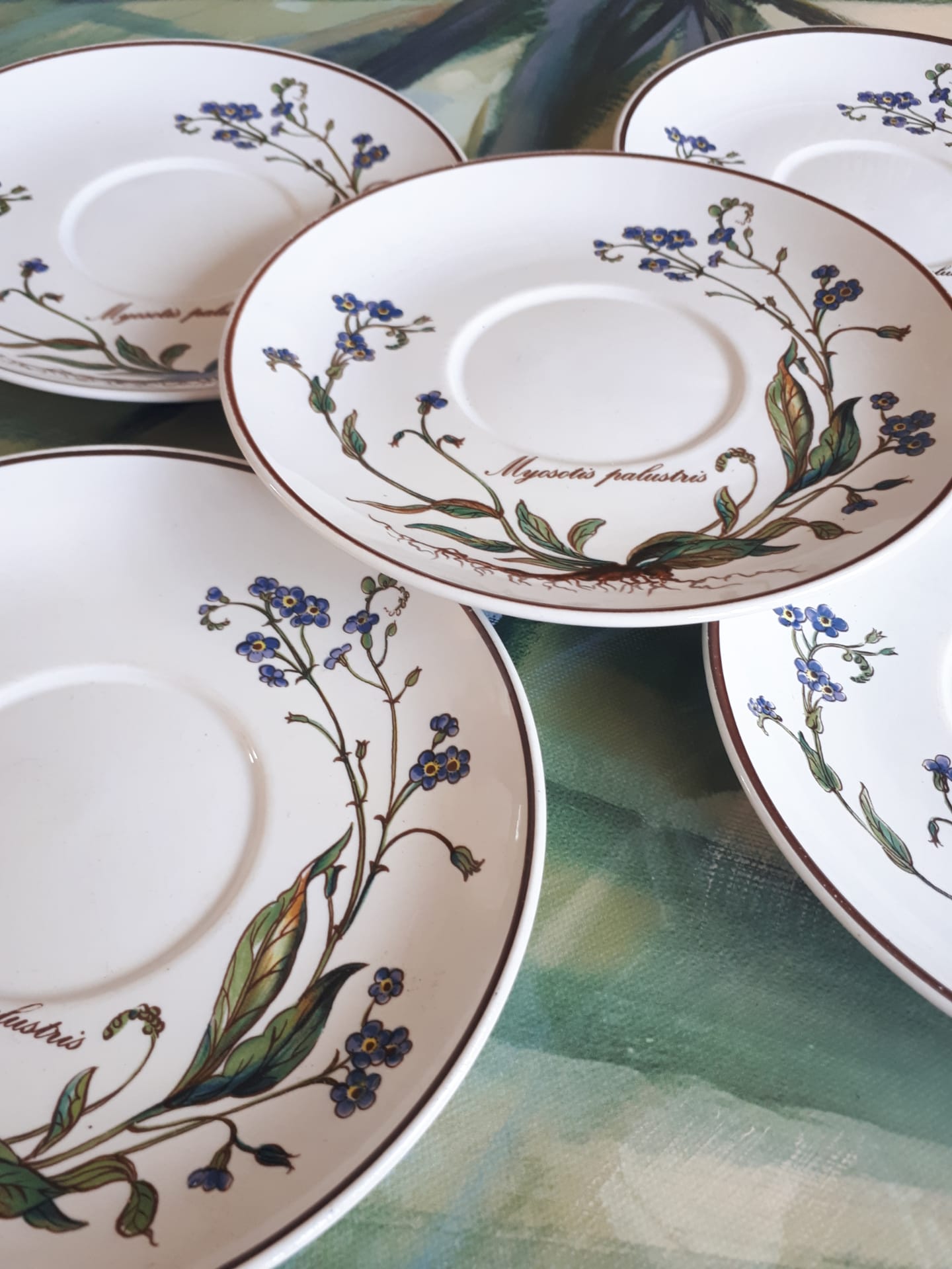 Lot of 5 sub cups "Myosotis" from the botanica service of Boch