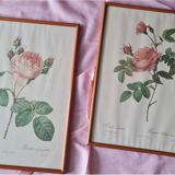 Redouté PJ Frames