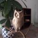 Owl on massive brass tree 70s