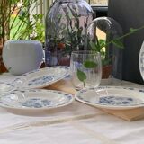 3 bowls and 5 blue plates