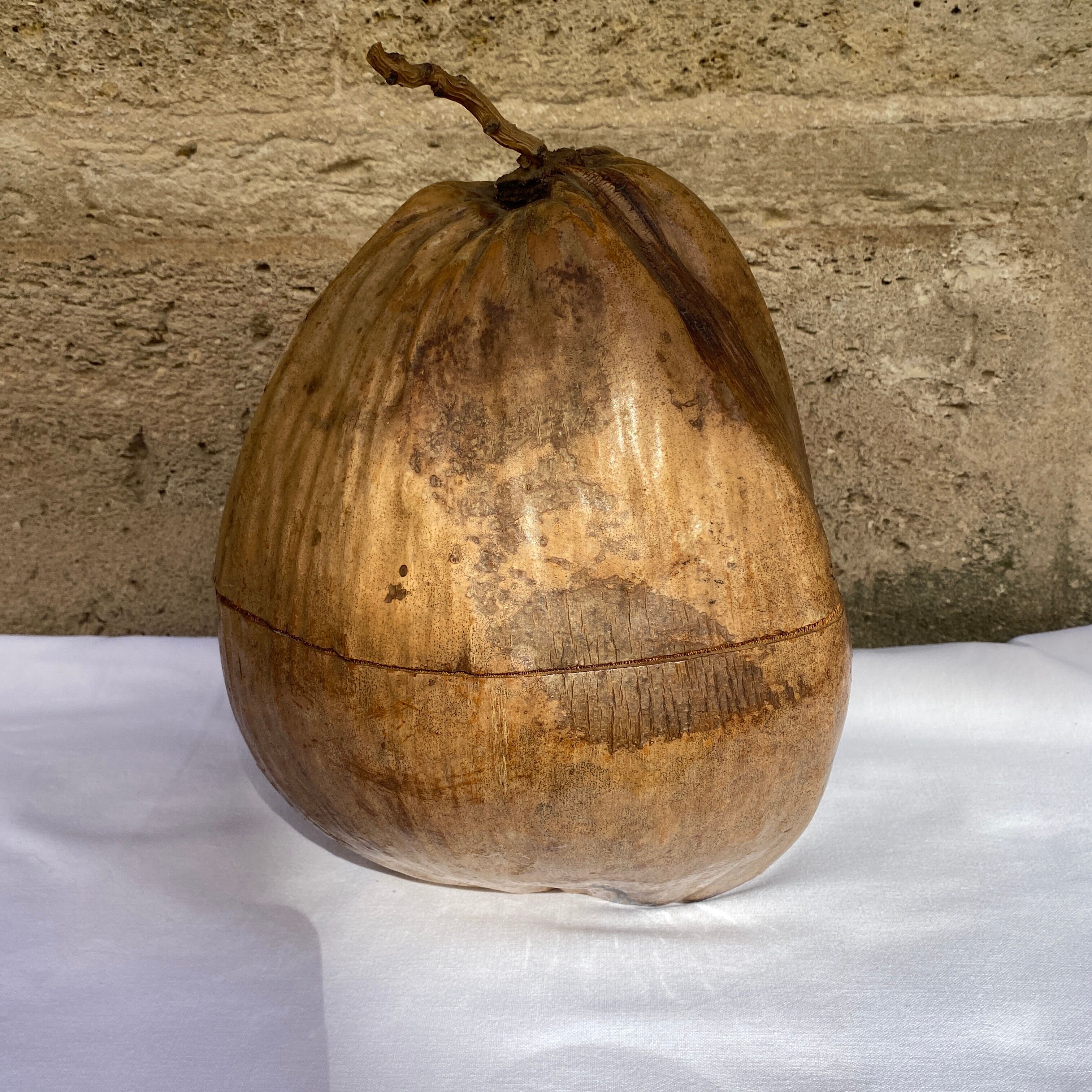 Coconut ice bucket