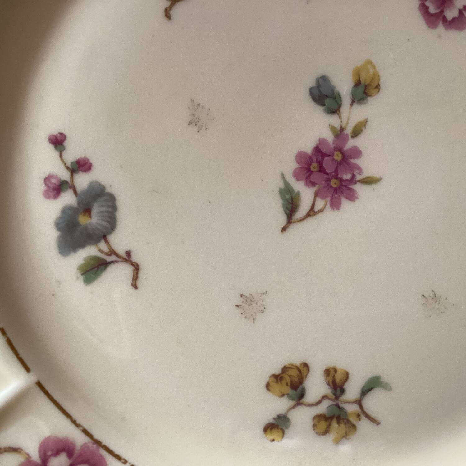 Old Limoges A.Lanternier porcelain plates