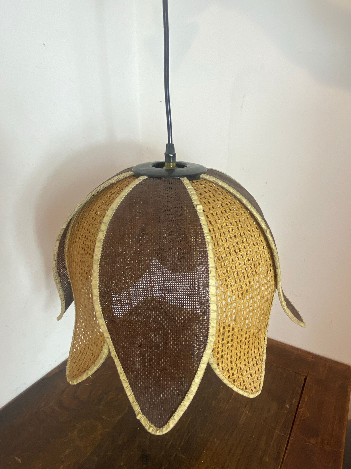 Organic rattan suspension