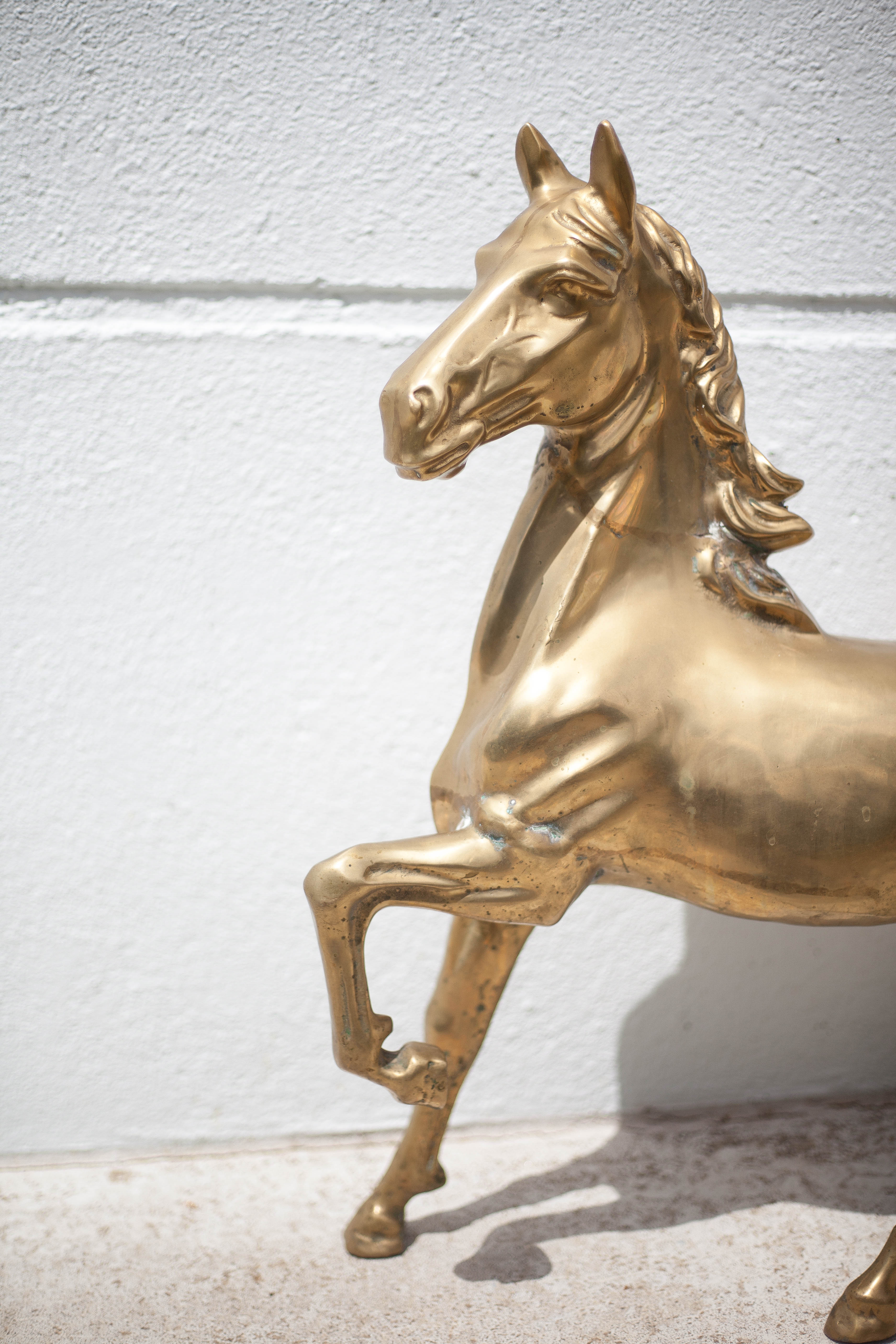 Xl brass horse